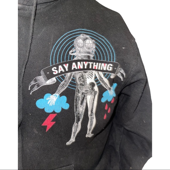 Say Anything Y2K Vintage Hoodie: Max Bemis: Warped Tour: pop-Punk: EMO: Small - Picture 3 of 4
